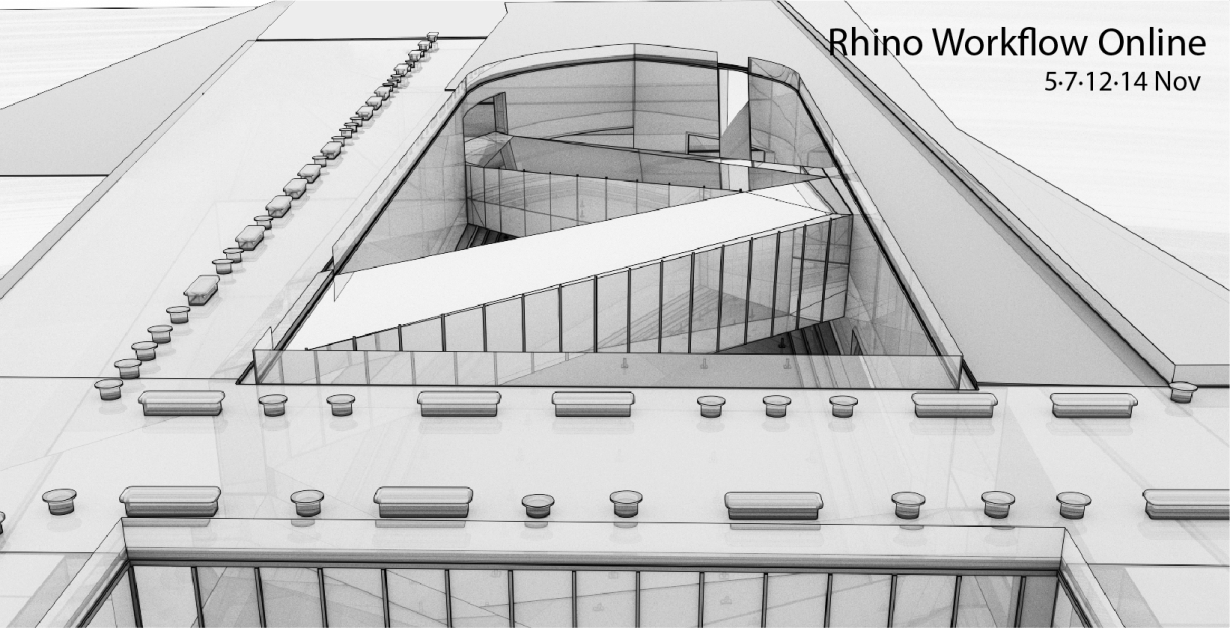 rhino workflow online